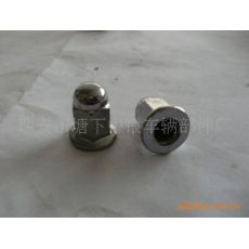 非標蓋型螺母，蓋型螺母，螺母